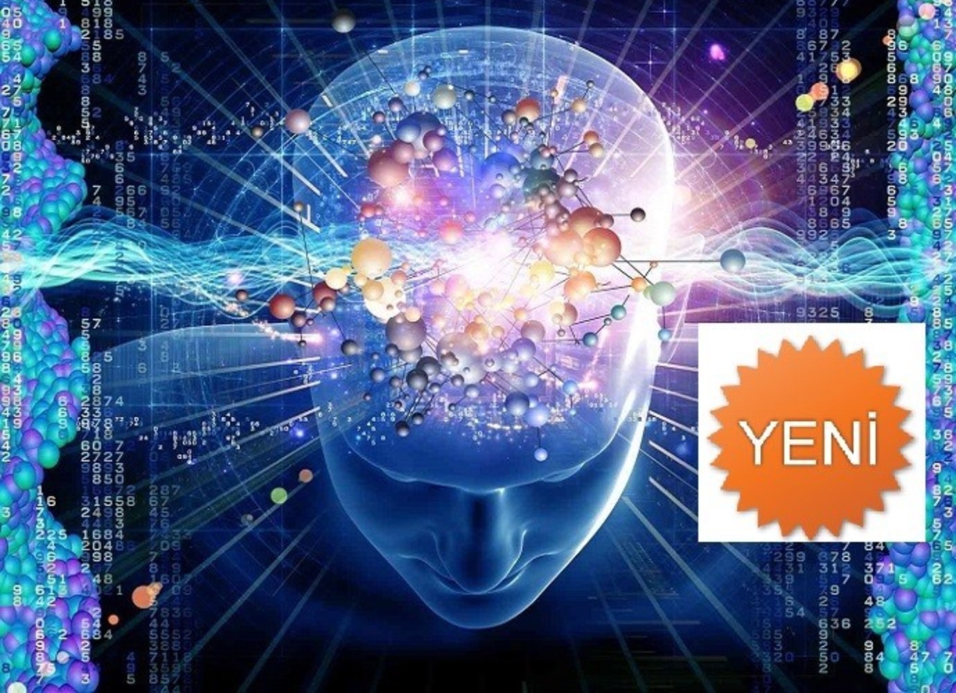 Resim Açıklaması